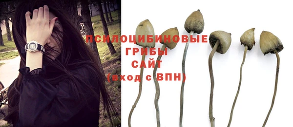 ALPHA PVP Белоозёрский