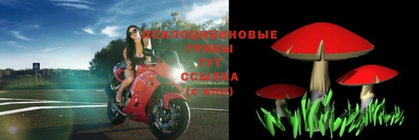 mdma Богородицк