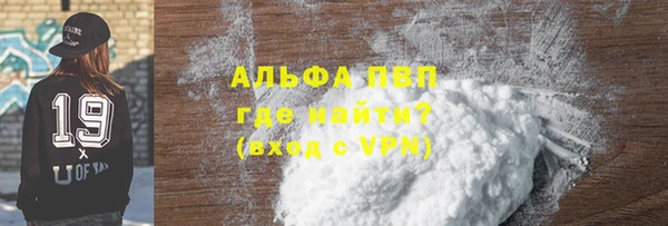 хмурый Белокуриха